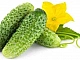 10 meilleures variétés de cornichons