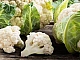 Top 10 des variétés de chou-fleur